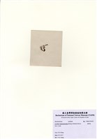 藏品(海蘚藻)的圖片